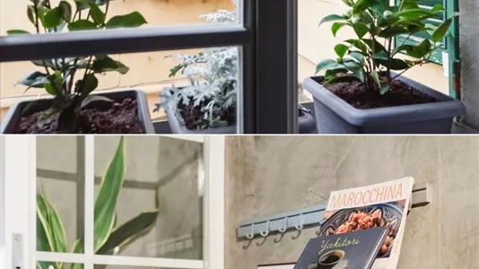 Apartments in Florence - photo 6