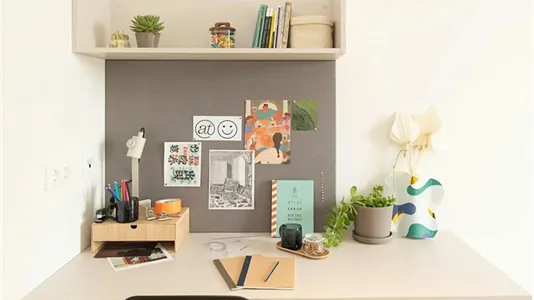 Apartments in Salamanca - photo 10