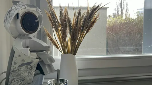 Apartments in Toulouse - photo 8