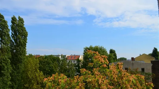 Apartments in Berlin Mitte - photo 6