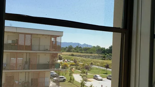 Rooms in Pisa - photo 5