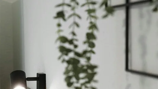 Apartments in Bonn - photo 7