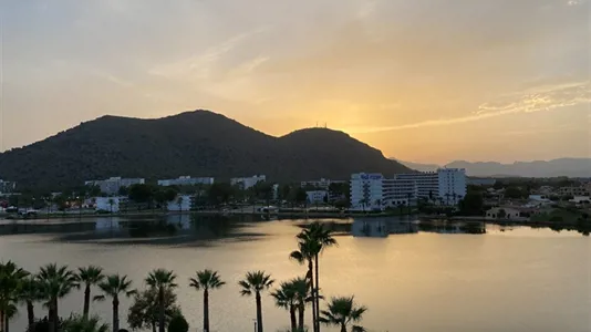 Apartments in Alcúdia - photo 2