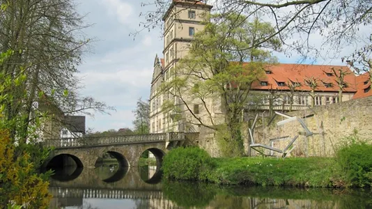 Apartments in Lippe - photo 6