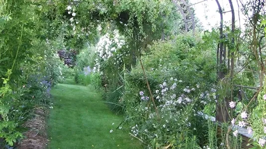 Rooms in Lyon - photo 6