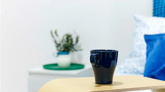 Rooms in Turin - photo 6