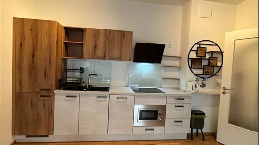 Apartments in Dresden - photo 2