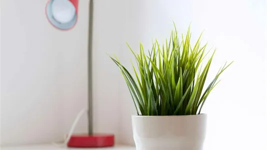 Rooms in Milano Zona 9 - Porta Garibaldi, Niguarda - photo 9