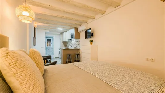 Apartments in Barcelona Ciutat Vella - photo 8
