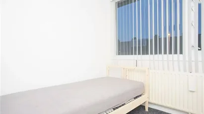 Room for rent in Rotterdam