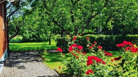 Houses in Laholm - photo 10