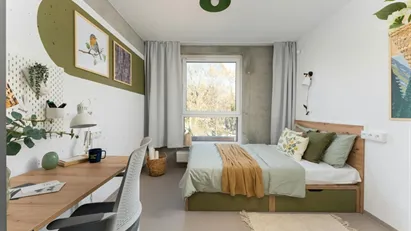 Room for rent in Kraków