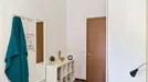 Room for rent, Bologna, Emilia-Romagna, Viale Giovanni Vicini