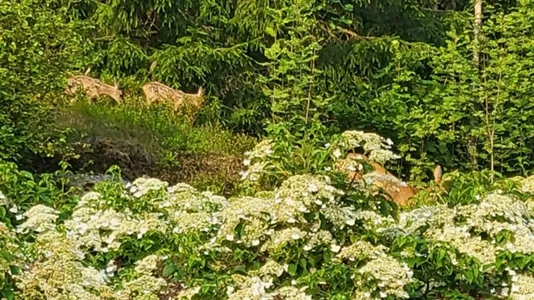 Houses in Mark - photo 6