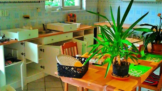 Houses in Miskolci - photo 8