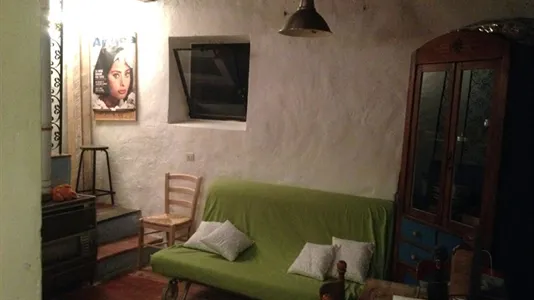 Houses in Florence - photo 4