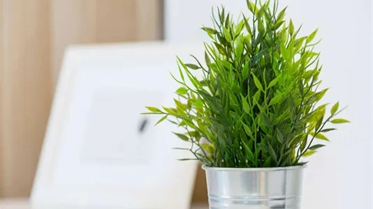 Rooms in Buccinasco - photo 2