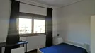 Room for rent, Porto (Distrito), Rua de Santa Catarina