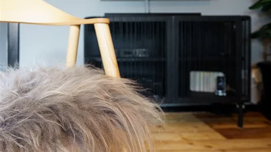 Apartments in Berlin Mitte - photo 7