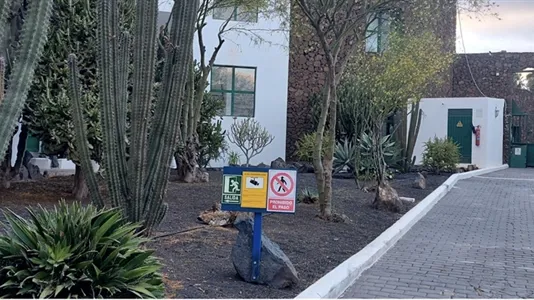 Apartments in Teguise - photo 4