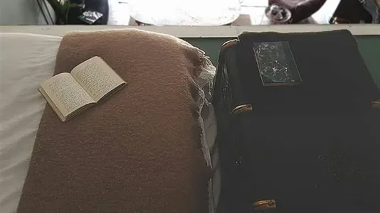 Apartments in Florence - photo 4