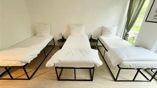 Apartments in Segeberg - photo 5
