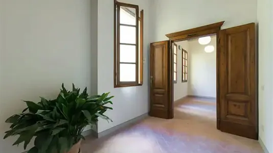 Apartments in Florence - photo 5