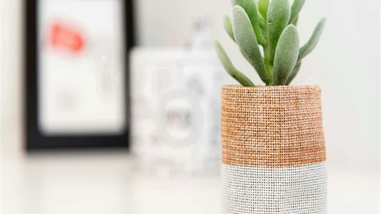 Rooms in Milano Zona 2 - Stazione Centrale, Gorla, Turro, Greco, Crescenzago - photo 8