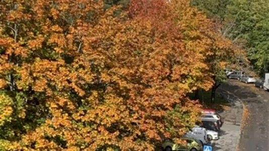 Apartments in Stockholm South - photo 10