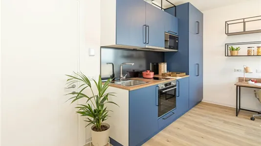 Apartments in Bologna - photo 5