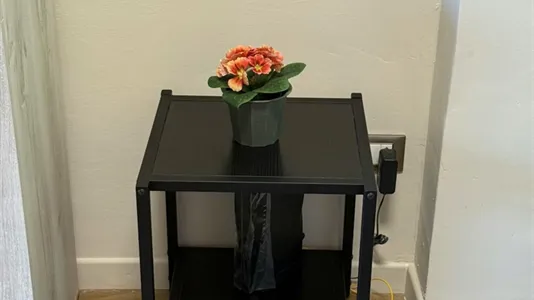 Apartments in Florence - photo 8