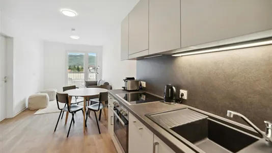 Apartments in Graz - photo 8