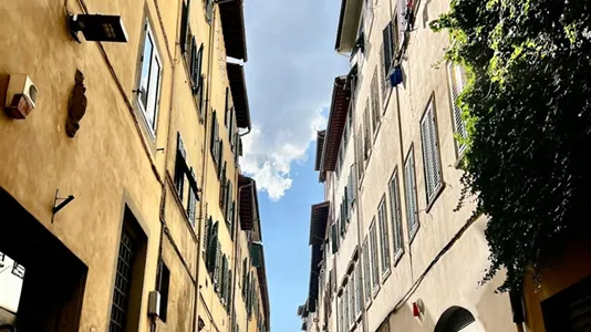 Apartments in Florence - photo 9