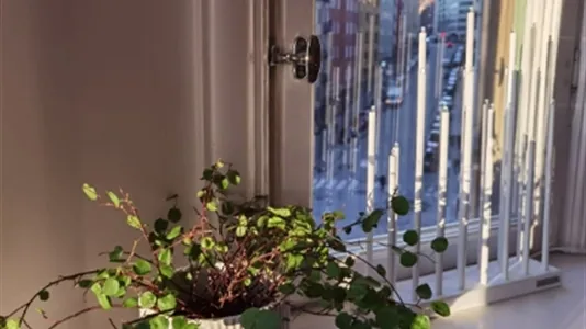 Apartments in Kungsholmen - photo 8