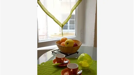 Apartments in Lyon - photo 8