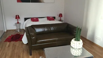 Apartment for rent in Frankfurt (region)