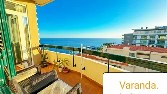 Apartments in Funchal - photo 8
