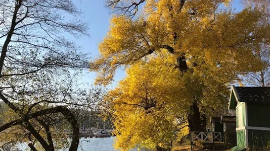Apartments in Södermalm - photo 8