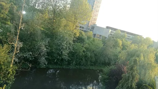 Rooms in Rotterdam Kralingen-Crooswijk - photo 8