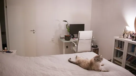 Apartments in Södermalm - photo 11