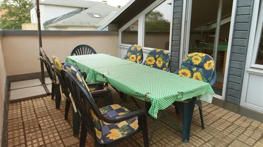 Apartments in Dresden - photo 9