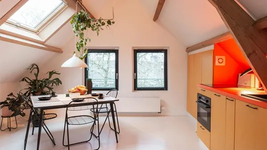 Rooms in Rotterdam Delfshaven - photo 7