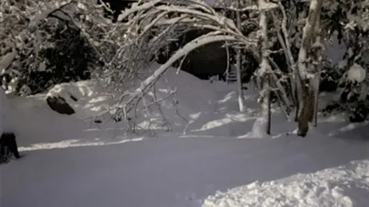 Apartments in Värmdö - photo 4