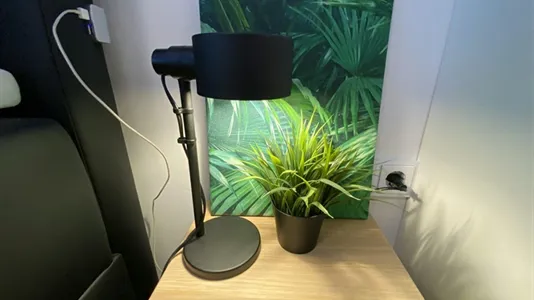 Apartments in Cologne Innenstadt - photo 4