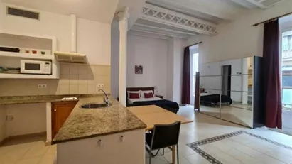 Apartment for rent in Barcelona Ciutat Vella, Barcelona