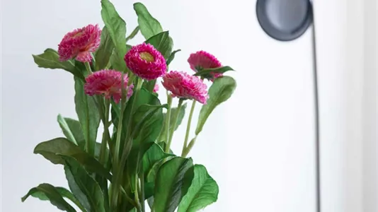 Rooms in Milano Zona 9 - Porta Garibaldi, Niguarda - photo 1