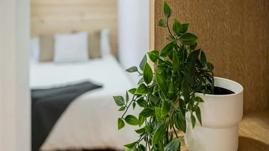 Rooms in Madrid Centro - photo 2