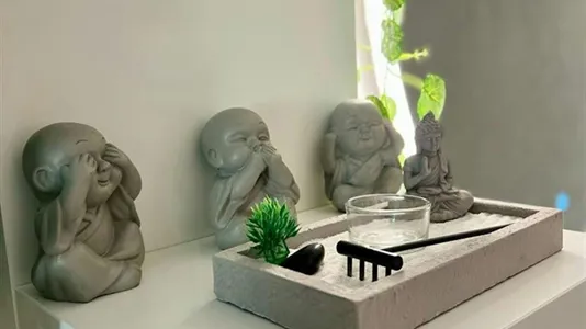 Apartments in Toulouse - photo 7