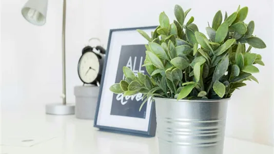 Rooms in Milano Zona 2 - Stazione Centrale, Gorla, Turro, Greco, Crescenzago - photo 8