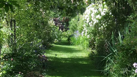 Rooms in Lyon - photo 6